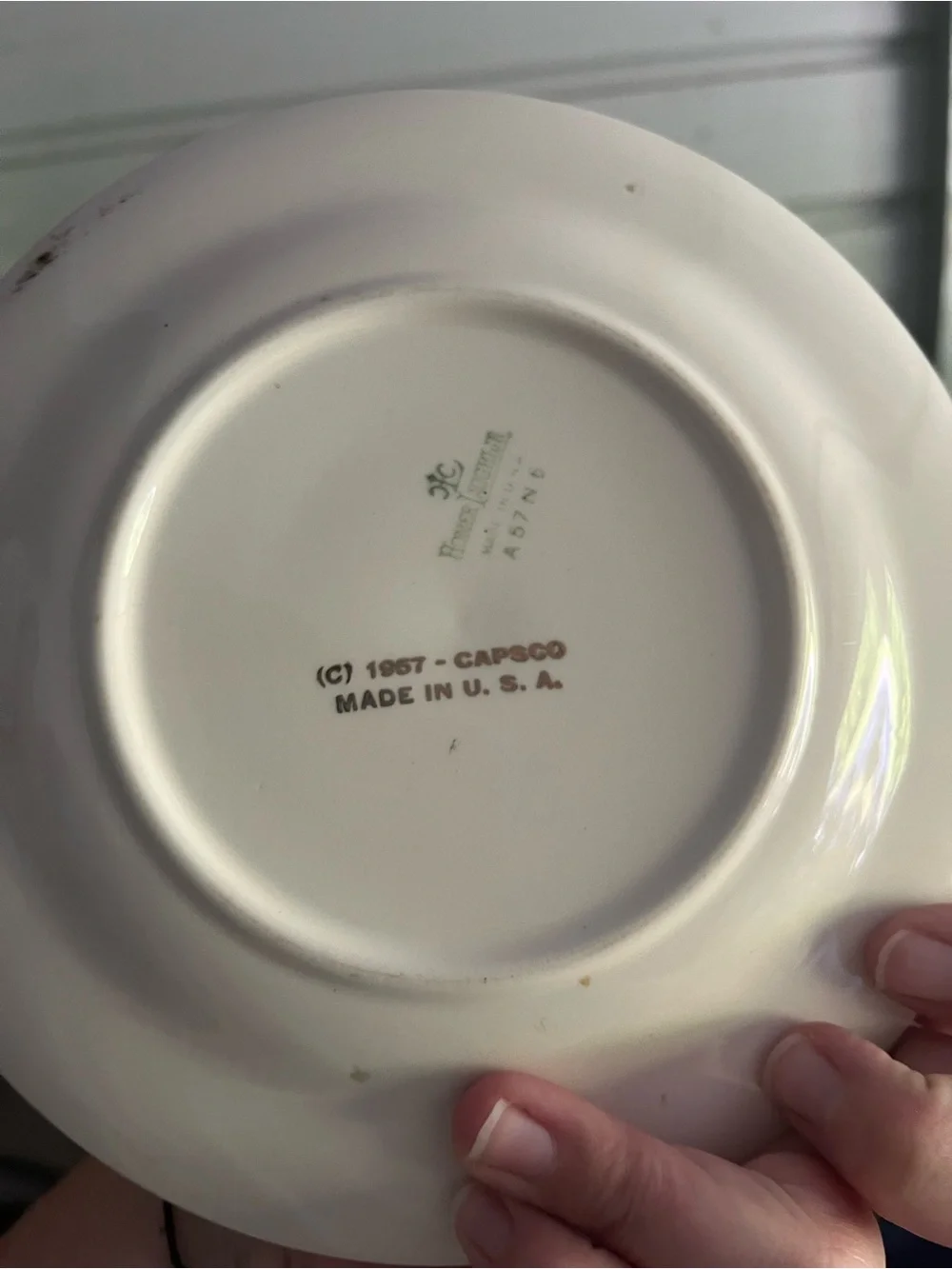 Commemorative Dwight D. Eisenhower Decorative Plate - Multicolor